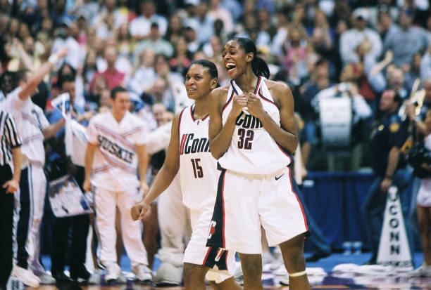 PVZH快攻卡组入门指南：如何快速上手