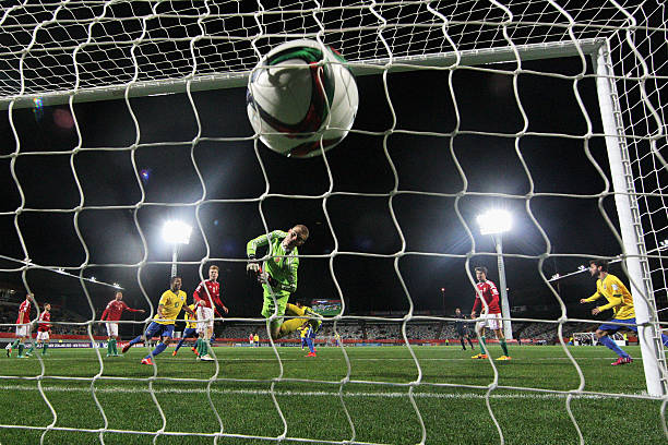 一锤定音！回顾里卡多职业生涯十大经典进球