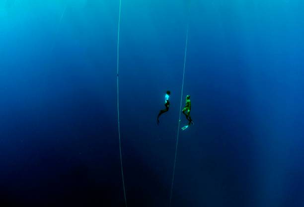 跳水比赛能否出现多个金牌得主?