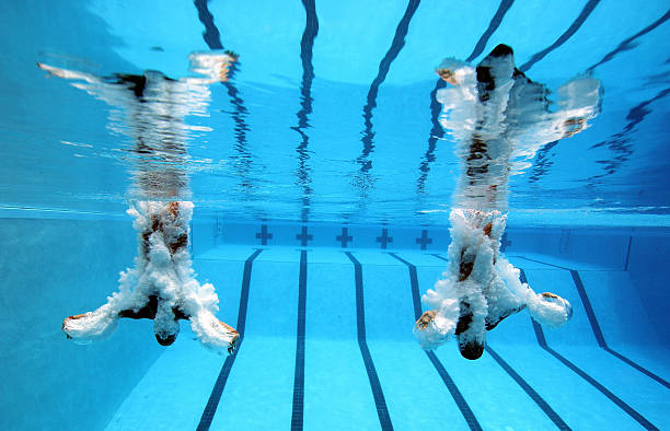 全红婵首战全运会，即夺10米台金牌