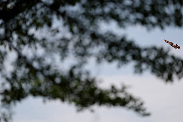 全红婵的训练日常：每天400跳背后的汗水与坚持