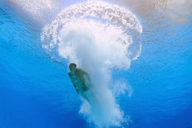 奥运金牌数、世界冠军数：吴敏霞与郭晶晶的成就对比