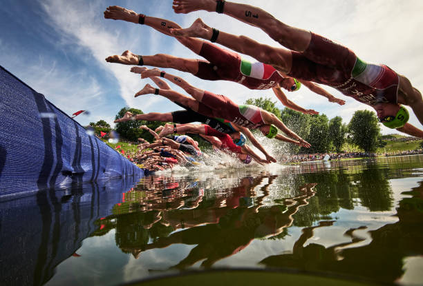 陈若琳资料购买攻略：避免虚假信息的实用技巧