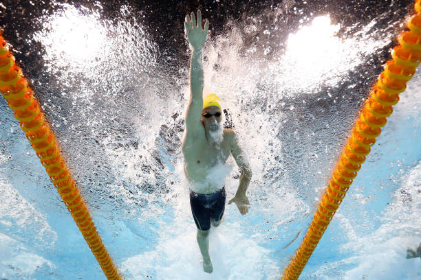 游泳生物在海洋生态系统中的关键作用