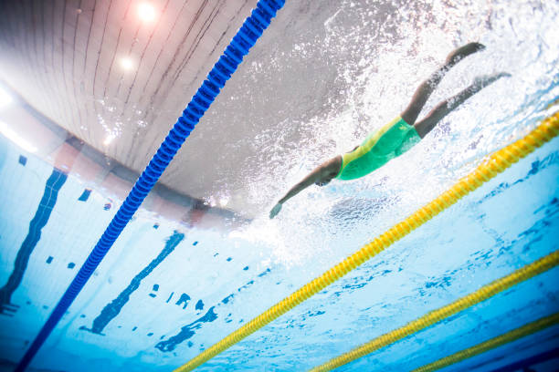 游泳名将孙扬的籍贯是哪里?答案在这里