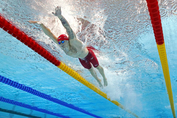 大型充气游泳池设备选购指南：如何选择适合家庭使用的款式