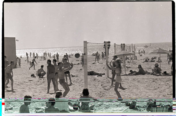 排球运动的核心技巧：发球、传球、扣球、拦网、防守