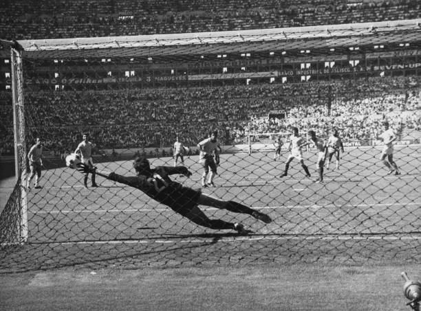 球迷必看：2026年世界杯举办城市全攻略及旅行建议